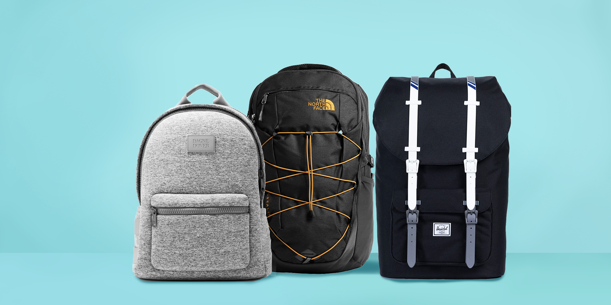Best North Face Backpack For College